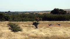 090509_South_Africa 194